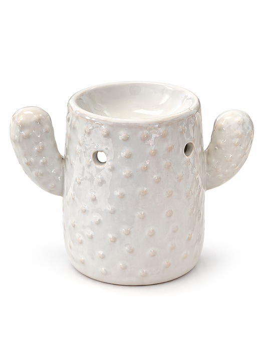 Infuseur d'arôme • Cactus